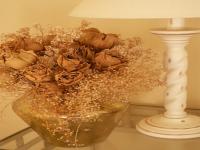Location de particuliers � particuliers Jardin d'Arsac Chambres d'hotes Corr�ze photo 7