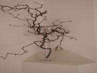 Location de particuliers � particuliers Jardin d'Arsac Chambres d'hotes Corr�ze photo 8