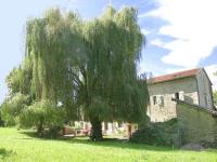 Location de particuliers � particuliers Chambres & tables d'hotes de Basta Chambres d'hotes Landes photo 6