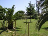 Location de particuliers � particuliers Les Palmiers Chambres d'hotes Haute Corse photo 3