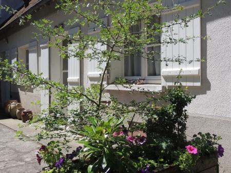Location de particuliers � particuliers Chez M�m� Delphine G�te Creuse