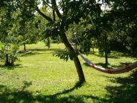Location de particuliers � particuliers La Grange Vieille Gites et B&B Chambres d'hotes Corr�ze photo 5