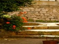 Location de particuliers � particuliers chambre d'h�tes de caractere Chambres d'hotes Corse du Sud photo 10
