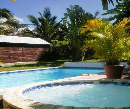 Location de particuliers � particuliers Meubl� de tourisme, location saisonni�re vacances : arbre du voyageur Location saisonni�re R�union
