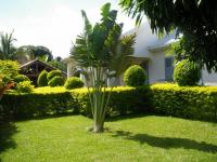 Location de particuliers � particuliers Meubl� de tourisme, location saisonni�re vacances : arbre du voyageur Location saisonni�re R�union photo 3