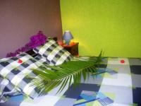 Location de particuliers � particuliers Meubl� de tourisme, location saisonni�re vacances : arbre du voyageur Location saisonni�re R�union photo 6