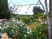 Location de particuliers � particuliers Gite de charme avec piscine pour vacances au calme G�te Sarthe photo 7