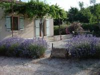 Location de particuliers � particuliers Petit mas proven�al vert tilleul, au pied des Monts du Vaucluse, parc du Luberon G�te Vaucluse photo 9