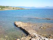 Location de particuliers � particuliers Loue bas de villa. Les pieds dans l'eau !! A 50 m de la mer. Location 8 pers.Piscine Priv�e (12m*8m) Location saisonni�re Corse du Sud photo 10