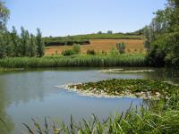 Location de particuliers � particuliers Chambre d'h�te de charme en Bourgogne Chambres d'hotes Sa�ne et Loire photo 6