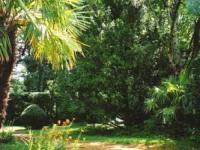 Location de particuliers � particuliers Au ch�teau de Pardailhan G�te H�rault photo 5