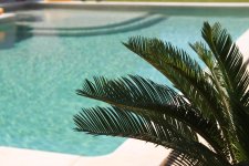 Location de particuliers � particuliers Gite du Mas Antonin: le n�flier G�te Gard