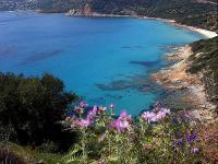 Location de particuliers � particuliers AJACCIO LES ILES SANGUINAIRES  vue imprenable sur les iles sanguinaires Location saisonni�re Corse du Sud photo 5