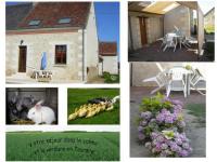 Location de particuliers � particuliers Gite MONT-LEGER AU COEUR DES CHATEAUX de la LOIRE G�te Indre et Loire photo 9
