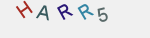 recopiez ce texte 