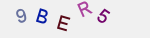 recopiez ce texte 