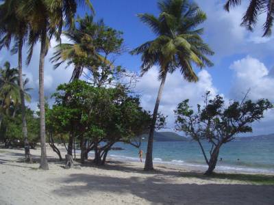 Location de particuliers � particuliers MARTINIQUE Studio Bleu Soleil Location saisonni�re Martinique