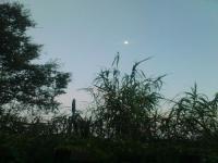 Location de particuliers � particuliers Nature et aventure en foret... Chambres d'hotes Var photo 4