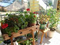 Location de particuliers � particuliers A la maison de Marie-Jo Chambres d'hotes Aveyron photo 2