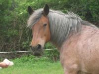 Location de particuliers � particuliers A la maison de Marie-Jo Chambres d'hotes Aveyron photo 9