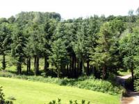 Location de particuliers � particuliers VOS VACANCES AU CALME ENTRE RIVIERE ET FORET G�te Finist�re photo 5
