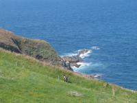 Location de particuliers � particuliers  DANS CADRE DE VERDURE NATUREL ET PRESERVE, AU CALME G�te Finist�re photo 9