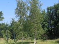 Location de particuliers � particuliers G�te La Houle G�te Finist�re photo 2