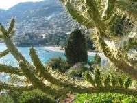 Location de particuliers � particuliers Chambre d'h�tes de charme  Chambres d'hotes Alpes maritimes photo 8