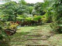 Location de particuliers � particuliers F1 et F2 meubl�s tout confort Location saisonni�re Martinique photo 5