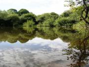 Location de particuliers � particuliers LE DOMAINE DES PLANCHES - GITES *** G�te Cantal photo 9