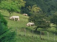 Location de particuliers � particuliers Chalet la Colombi�re Chambres d'hotes Is�re photo 9