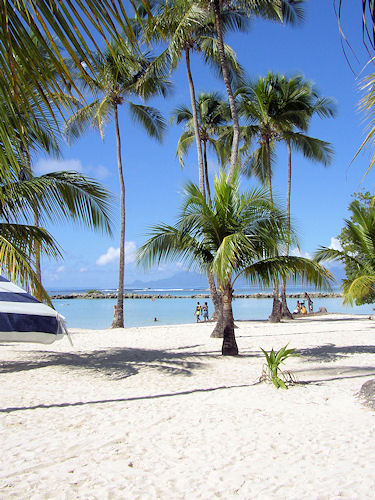 Location de particuliers � particuliers BUNGALOWS A STE ANNE  Location saisonni�re Guadeloupe