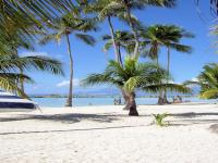 Location g�te, chambres d'hotes BUNGALOWS A STE ANNE  dans le d�partement Guadeloupe 971