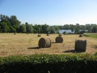 Location de particuliers � particuliers La Fermette du Lac Chambres d'hotes Pas de Calais photo 3