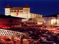 Location de particuliers � particuliers GRAND CHOIX DE LOCATIONS AVEC ET SANS PISCINE Location saisonni�re Lot et Garonne photo 9