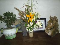 Location de particuliers � particuliers LA FERME DE L'ORAILLE Chambres d'hotes Eure photo 10