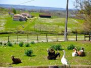 Location de particuliers � particuliers Village de Gites La Ferme Couderc Sud-Ouest lot et garonne G�te Lot et Garonne photo 11
