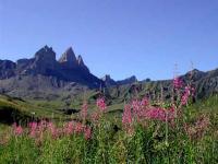 Location de particuliers � particuliers Chalet des Aiguilles Chalet Savoie photo 8