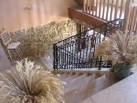 Location de particuliers � particuliers Domaine du Manoir Location saisonni�re Is�re photo 5