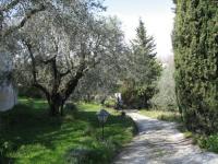 Location de particuliers � particuliers Chambres d'Hotes les Lys G�te Alpes maritimes photo 6