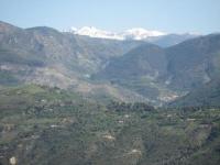 Location de particuliers � particuliers Gite Rural les Lys G�te Alpes maritimes photo 5