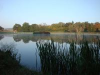 Location de particuliers � particuliers Hugo a la campagne, Proche de la route des vins et des tr�sors Bourguignons  Chambres d'hotes Sa�ne et Loire photo 3