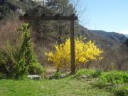Location de particuliers � particuliers Maison de Marna�s entre mer et montages Chambres d'hotes Alpes maritimes photo 6
