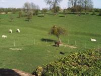 Location de particuliers � particuliers La Bergerie du festel G�te Somme photo 10