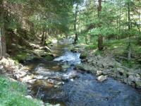 Location de particuliers � particuliers G�tes de vacances en Haute Loire dans le midi de l'Auvergne G�te Haute loire photo 9