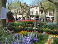 Location de particuliers � particuliers La maison du bouchonnier G�te dans une petite ville m�di�vale G�te Lot et Garonne photo 9