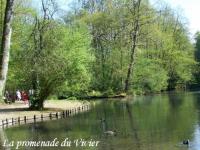Location de particuliers � particuliers Gite de charme proche ETRETAT G�te Seine Maritime photo 11