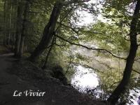 Location de particuliers � particuliers Gite de charme proche ETRETAT G�te Seine Maritime photo 12