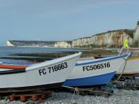 Location de particuliers � particuliers Gite de charme proche ETRETAT G�te Seine Maritime photo 14