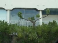 Location de particuliers � particuliers A louer Studio Cabine - 4 pers./ Port Camargue Location saisonni�re Gard photo 3